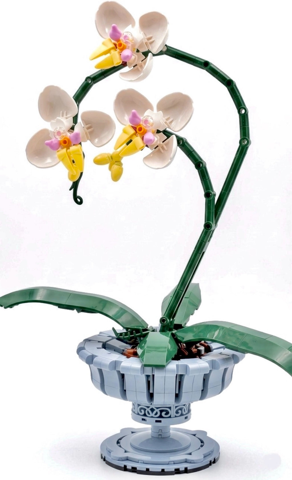 Bloques de Construcción Botánicos de Orquídeas (682 piezas) + Rompecabezas Noche Estrellada (1000 piezas) + Collar Bañado en Oro
