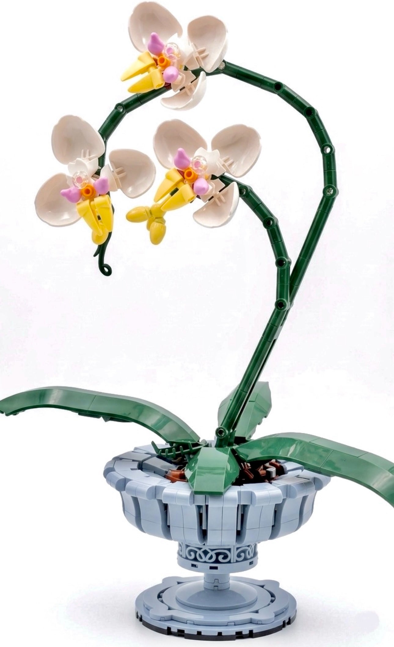 Bloques de Construcción Botánicos de Orquídeas (682 piezas) + Rompecabezas Noche Estrellada (1000 piezas) + Collar Bañado en Oro