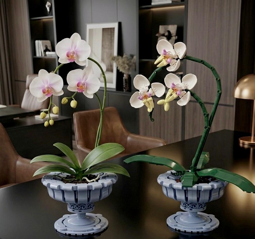 Orchid Botanical Flowers Building Set + Matching Starry Night Puzzle + 18K Gold Plated Necklace - 3 in 1 Gift Set